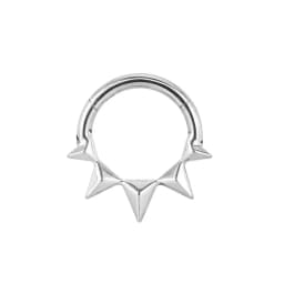 Tusk Flower Heart Waterdrop Moon Branch Chain Septum Piercing Daith Conch Hoop Earring Clicker Segment Ring 316 Surgical Steel