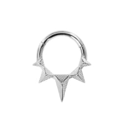Tusk Flower Heart Waterdrop Moon Branch Chain Septum Piercing Daith Conch Hoop Earring Clicker Segment Ring 316 Surgical Steel