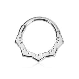 Tusk Flower Heart Waterdrop Moon Branch Chain Septum Piercing Daith Conch Hoop Earring Clicker Segment Ring 316 Surgical Steel