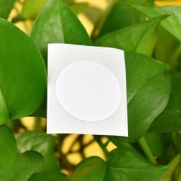 10Pcs/Lot NFC 213 215 216 Sticker 13.56Mhz ISO14443A Universal Lable Tags