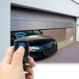 Roger E80 TX52R 2 433.92 MHz E80/TX52R/2 E80/TX54R/2 Fixed Code Garage Door Remote Control ROGER H80 TX22 M80 TX44R TX12 TX14
