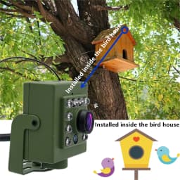 Bird Watching Camera Wireless Wild Wifi Bird Nest Green Box Kit 5M Wire Night Vision 5MP 2MP P2P Audio Mini IPC In the Birdcage