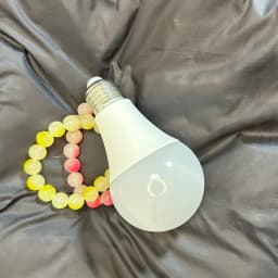 Sight Secret Light Bulb Home Diversion Stash Can Safe Container Hiding Spot Hidden Storage Secret Compartment