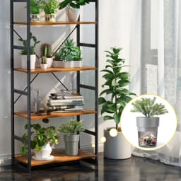Hidden Safe Plastic Flower Pot Money Storage Box Surprise Separable Security Container Stash Safe Box Stash Jars Piggy Bank