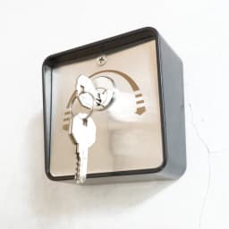 High Quality Factory Professional Design Key Switch 16018-2A for Roller Shutter/Roller Door Opener