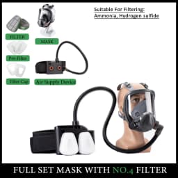 Electric Powered Air Purifying Chemical Respirator 6800 Full Face Dust Gas Mask Dual Filters Work Safety For Industrial Spraying
