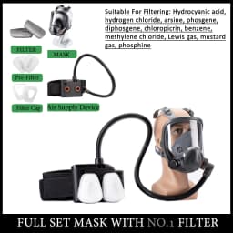 Electric Powered Air Purifying Chemical Respirator 6800 Full Face Dust Gas Mask Dual Filters Work Safety For Industrial Spraying