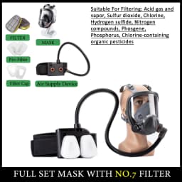 Electric Powered Air Purifying Chemical Respirator 6800 Full Face Dust Gas Mask Dual Filters Work Safety For Industrial Spraying