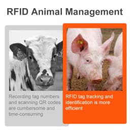 10pcs Pig Ear Tag 30mm Size Livestock Management UHF / LF RFID 860~960Mhz/ 134.2Khz Animal Ear Tags for Pig Farm