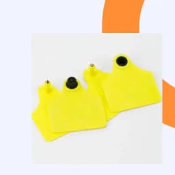 10pcs Pig Ear Tag 30mm Size Livestock Management UHF / LF RFID 860~960Mhz/ 134.2Khz Animal Ear Tags for Pig Farm