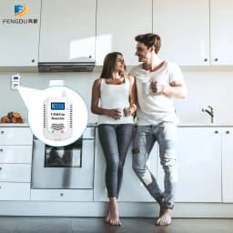 2 in 1 Gas Detector, Plug-in Home Natural Gas/Methane/Propane/CO Alarm, Leak Sensor Detector with Voice Promp and LED Display