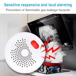 Smart Gas Monitoring, Real-Time Detection, Safeguard Your Home, Tuya Zigbee Gas Detector, Compatible With Alexa And Google Home.