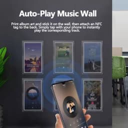 Ntag215 Self-adhesive NFC Lable Tag Sticker 13.56MHz ISO14443A Universal 215 Phone Available Adhesive Label