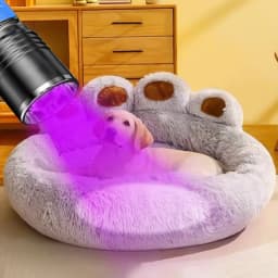 USB Rechargeable UV Flashlight For Pet Urine Detection Resin Cured 395nm UV Flashlight Black Light Zoom