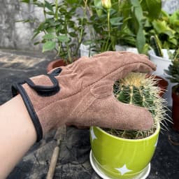 Cowhide Outdoor Protective Gloves Heat Insulation Anti-cutting Anti-thorning Camping Mountaineering Gradening Prunning Welding