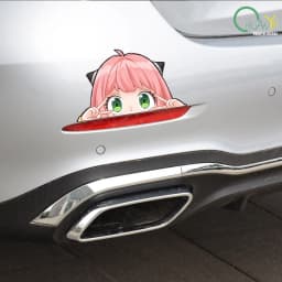 Ania Fujie Spies' Homecoming Head Facial Bag Body Door Sticker anime Creative Reflective Sticker