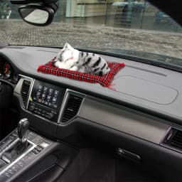 Lovely Plush Kittens Doll Toy Car-styling Car Ornaments Dashboard Decoration Home Decoration Cute Simulation Sleeping Cats