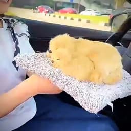 Car Dashboard Ornaments Decor Interior Cute Simulation Plush Cats Dogs Toy Automobiles Decoration Auto Accessories