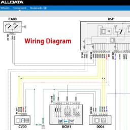 2026 Online Account for Alldata Car Data Diagram Newest Car Repair Software for Workshop All Data Hay-nes Pro Support Mobile /PC