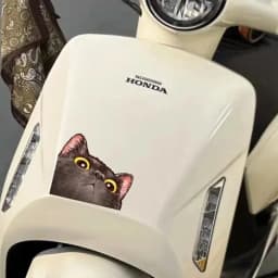 Probe Cat Creative Expression Car Stickers Electric Motorcycle Body Triangle Window Luggage Laptop Stickers Fun Car Stickers