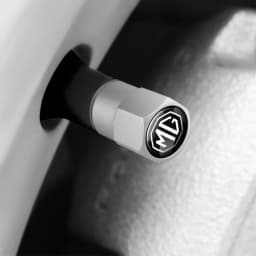 4PCS Car Tire Valve Cover Tire Stem Cover Dust Cover Accessories For Morris Garages MG ZS GS MG3 MG5 MG6 EHS EZS Hector HS TF GT