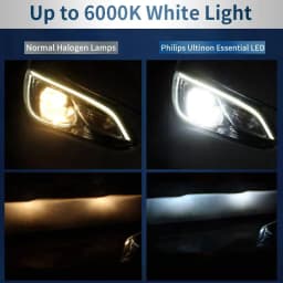 Philips LED H4 H3 H11 Ultinon Pro3102 12V/24V 6000K Bright Fog Auto Headlight LED Lamps