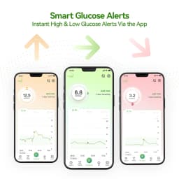 MicroTech LinX Vista CGM 15-Day Continuous Glucose Monitor with 24/7 Real-Time Blood Glucose Monitoring Diabetes Management