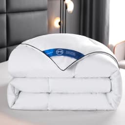Hotel Style Comforter Queen King Lightweight Fluffy Comfortable and Breathable Soft Winter Quilt Very Warm 220x240 Quilts Blanke