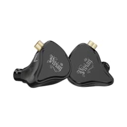 CVJ Vivian In-Ear Monitor Earphones 10mm Dynamic Driver Wired Earbuds HiFi Quality 3.5mm Plug 0.78MM Detachable With Mic Cable