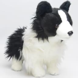 Border Collie Plush Toy Dog 11.8 Inch Kids Plush Toy Perfect Gift for Boys and Girls