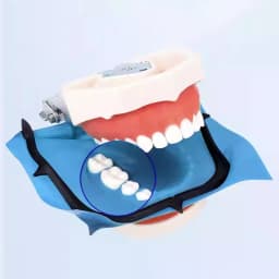 AG Non Sterile High Quality Dental Dam Natural Rubber Latex Dam Nnti-allergy 52pcs 5“x5” / 36pcs 6"x6" Oral Care Materials
