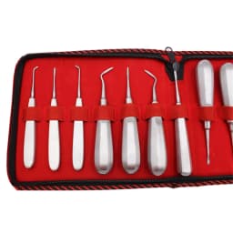 13pcs Dental Elevator Set Made in Pakistan Teeth Extraction Tooth Extracting Forceps Stainless Steel Curved Root Lift Elevator