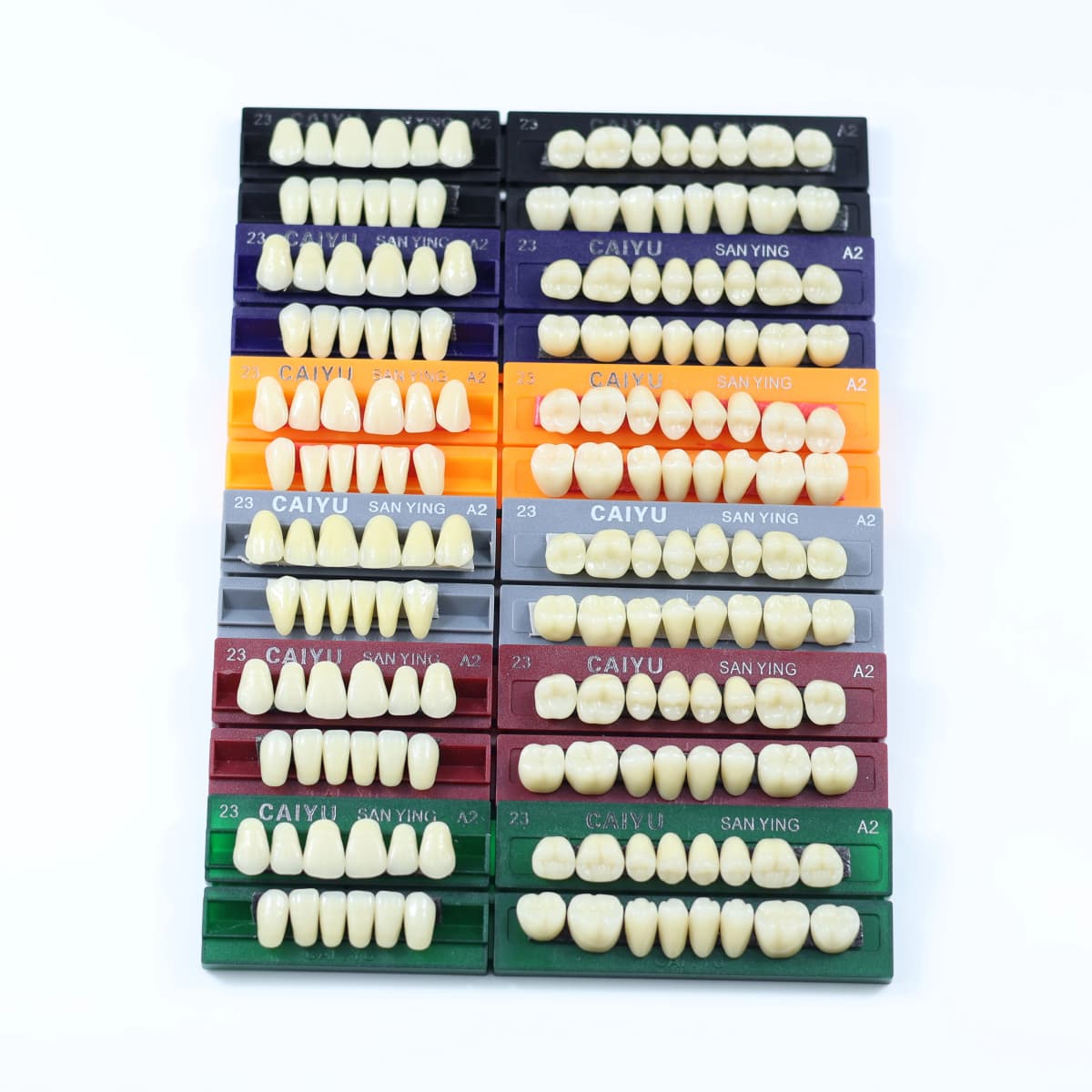 Dental Acrylic Synthetic Resin teeth Anterior Posterior full mouth teeth Teaching Model Permanent Teeth Model 96pcs/Sets Box