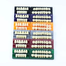 Dental Acrylic Synthetic Resin teeth Anterior Posterior full mouth teeth Teaching Model Permanent Teeth Model 96pcs/Sets Box