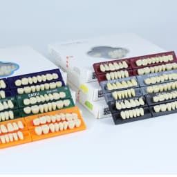 Dental Acrylic Synthetic Resin teeth Anterior Posterior full mouth teeth Teaching Model Permanent Teeth Model 96pcs/Sets Box