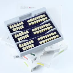 Dental Acrylic Synthetic Resin teeth Anterior Posterior full mouth teeth Teaching Model Permanent Teeth Model 96pcs/Sets Box