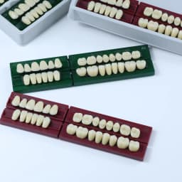 Dental Acrylic Synthetic Resin teeth Anterior Posterior full mouth teeth Teaching Model Permanent Teeth Model 96pcs/Sets Box