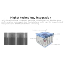 Dental Digital X-Ray Sensor HDR 500B X Ray RVG Sensor CMOS RVG Imaging System Include Software