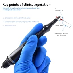 JUMTOP Dental Ultrasonic Root Canal Cleaning Handpiece Air Sonic Activator with 12Pcs Rispisonic Files