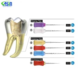 6Pcs/box Dental Hand Use NITI Files Denspay 21mm/25mm/31mm Super Rotary Files Dentist Root Canal Files Shaping Finishing Tools