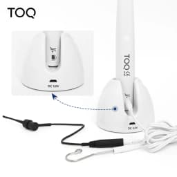 2 In 1 Dental Wireless Endo Motor Built In Apex Locator for Endodontic Rotary Root Canal Instrument Reciprocating 360° Adjustabl