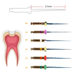 6pcs/1Pack Dental Endo Files Endodontic NiTi Rotary Root Canal Reciprocating File 21/25/31mm Machine Use for Shaping & Cleaning