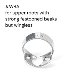 JUMTOP Dental Rubber Dam Clamps Stainless Steel Endodontic Restorative Barrier Clips Dentistry Instruments