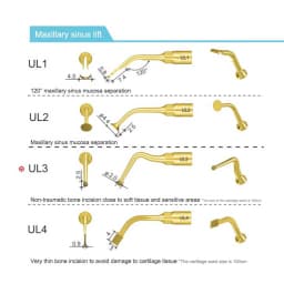 Dental Piezosurgery Tips US/UL/UC/UI Series for Bone Cutting & Sinus Lifting – Compatible with Woodpecker Mectron