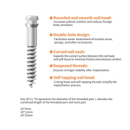 Dental Orthodontic Implant Anchor Screw Orthodontic Bone Expansion Miniscrews and Screwdriver Torque for Ortho Treatment