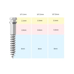 Dental Orthodontic Implant Anchor Screw Orthodontic Bone Expansion Miniscrews and Screwdriver Torque for Ortho Treatment