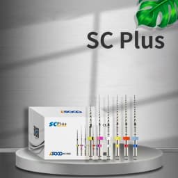 SOCO PLUS COXO 6pcs/Box Heat Activated Canal Root Files 21/25/31mm Dentist Tools Can Bend for Preparing Root Canal Treatment