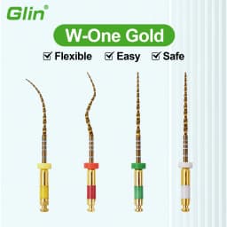 Glin W One Gold Root Canal Files 4 Pcs/Box Heat Activated Flexible Dental Endo Files 21/25mm Niti Rotary Endodontic Files