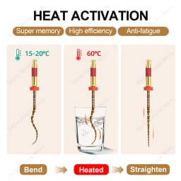 Glin W One Gold Root Canal Files 4 Pcs/Box Heat Activated Flexible Dental Endo Files 21/25mm Niti Rotary Endodontic Files