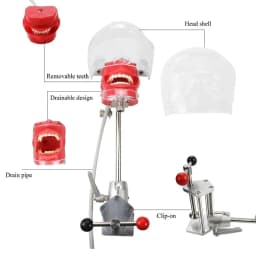 JUMTOP Dental Simple Head Model Practice Training Simulator Phantom Head Typodont Removable